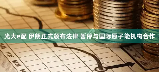 光大e配 伊朗正式颁布法律 暂停与国际原子能机构合作