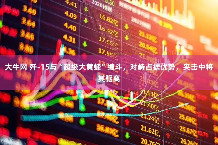大牛网 歼-15与“超级大黄蜂”缠斗，对峙占据优势，夹击中将其驱离