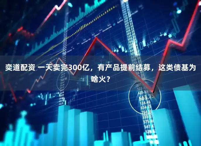 奕道配资 一天卖完300亿，有产品提前结募，这类债基为啥火？