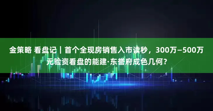 金策略 看盘记｜首个全现房销售入市读秒，300万—500万元验资看盘的能建·东誉府成色几何？
